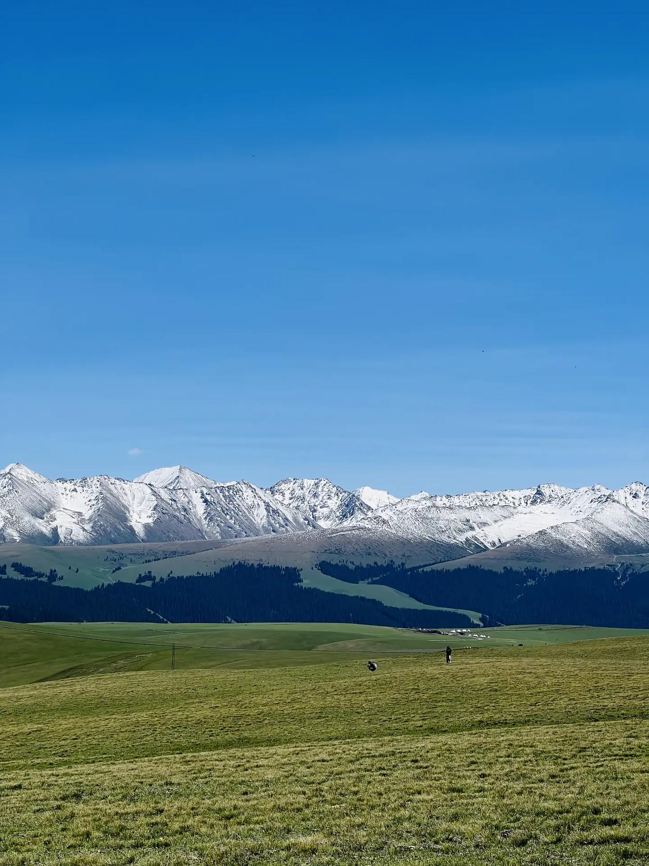 前面看到一个单亲的妈妈在深夜的时候做直播，觉得蛮可怜的，所以特地的关注了一下。后