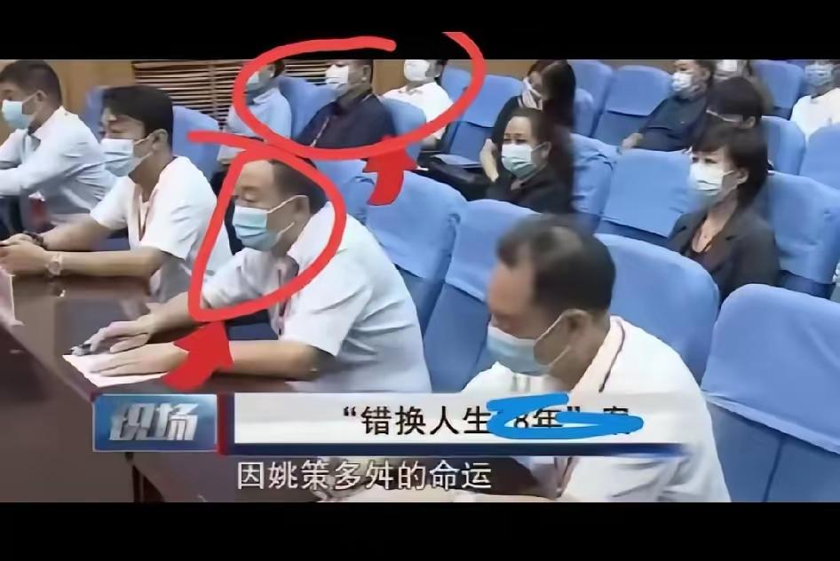 二八换子事件，许敏追查真相。六年的追真路上，让人见识了不同的人的表演。有人是故