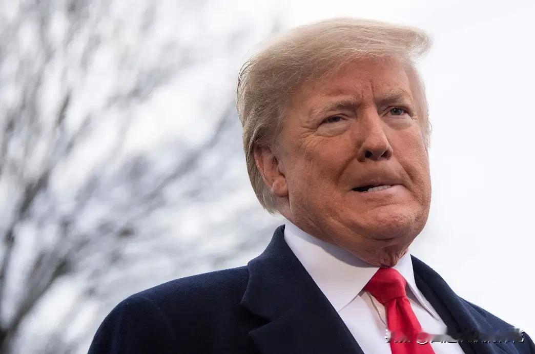 果然被我猜中了！美国总统今天突然宣布：1月25日，美国特朗普政府宣布将向美国