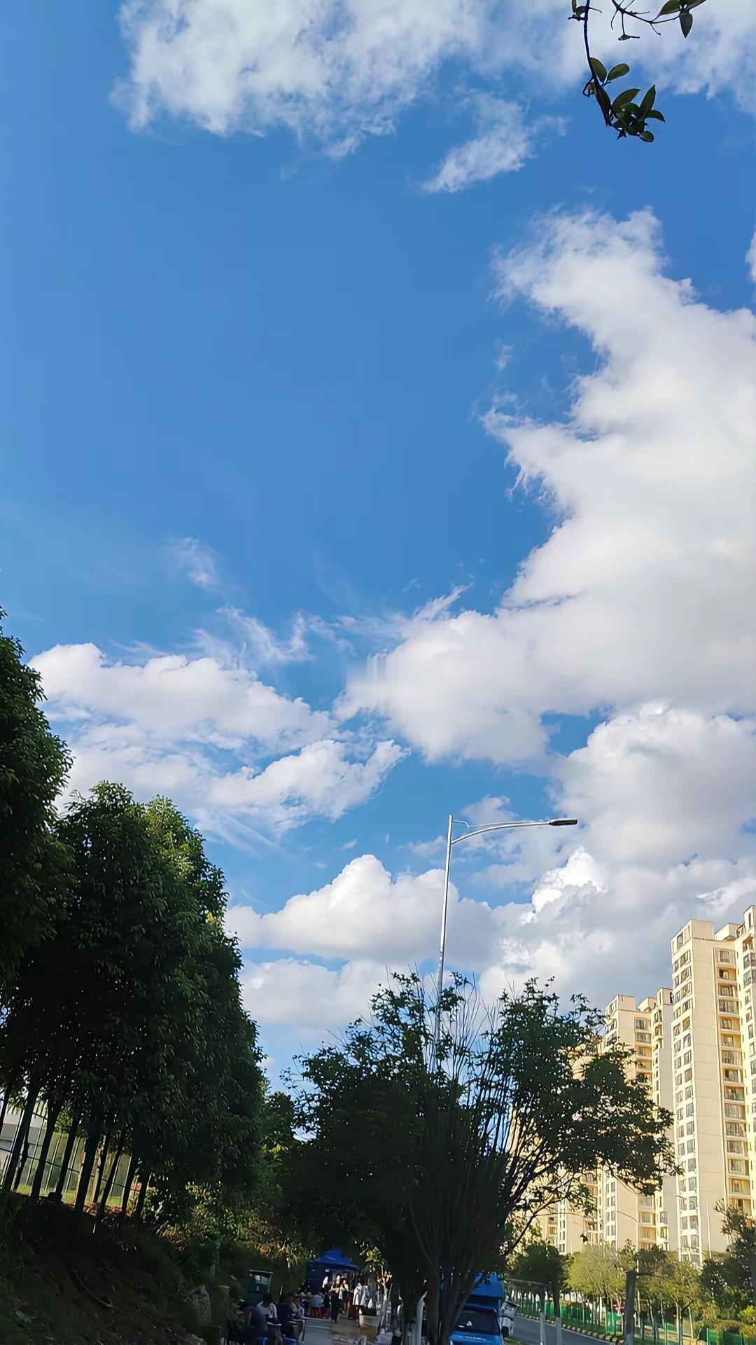 同样是股市，全球股市的交易规则都是T+0，只有A股是T+1，我们散户老老实实T+