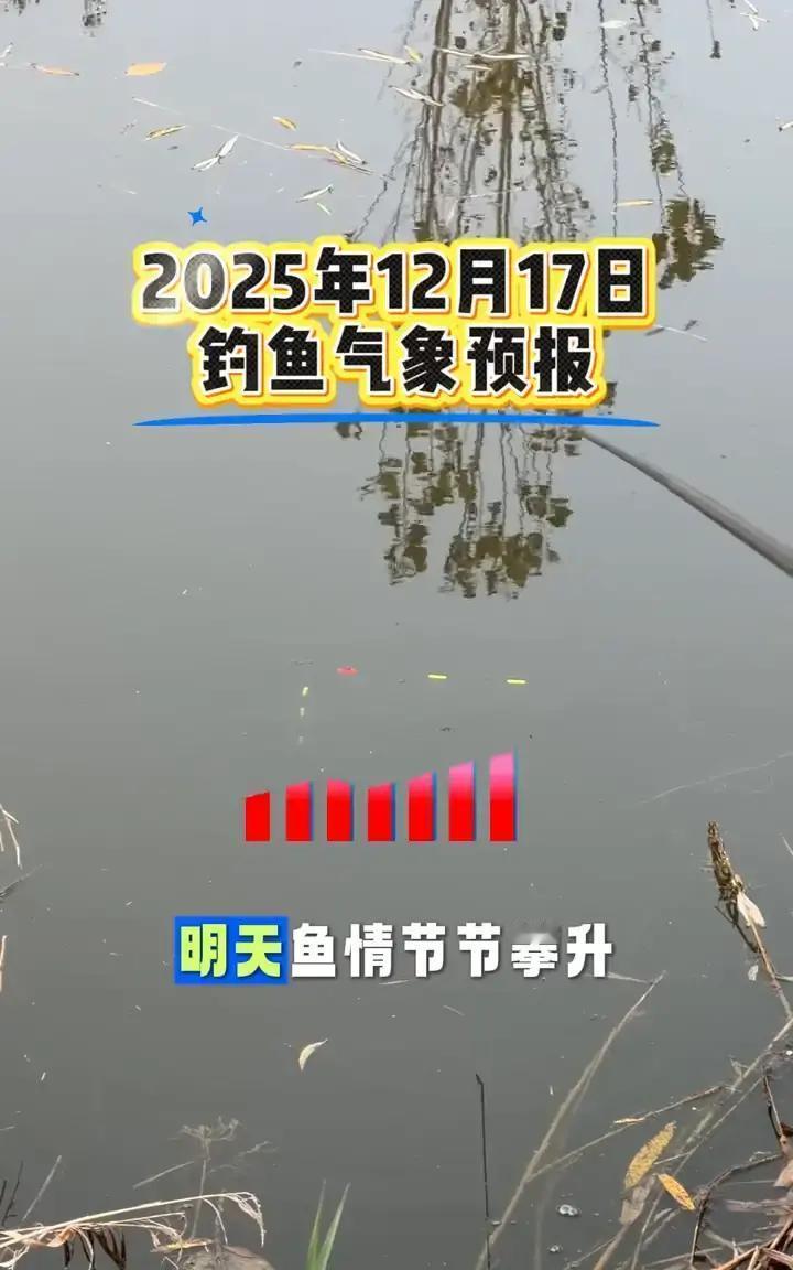 明天是个钓鱼的好日子。气压稳在1033，气温连着几天回暖，水温也定了。鱼憋