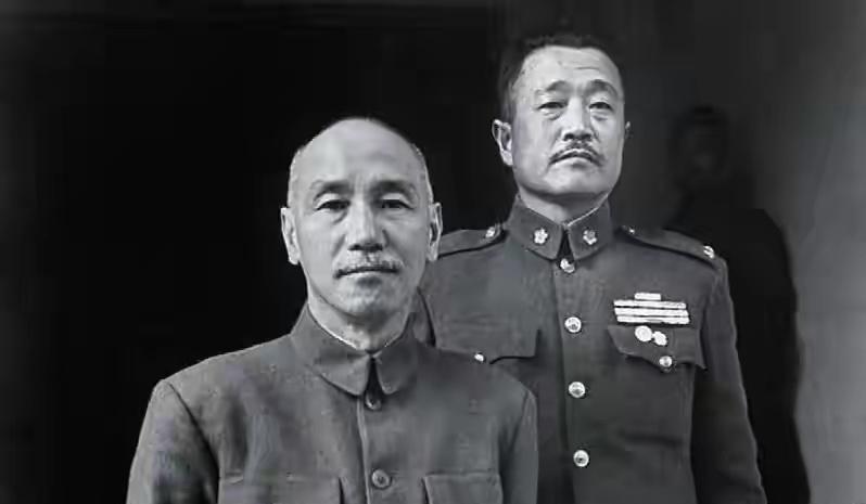 1956年美国纽约，22岁的杜聿明长子杜致仁，被发现时死在了姐姐家床上。死前，他