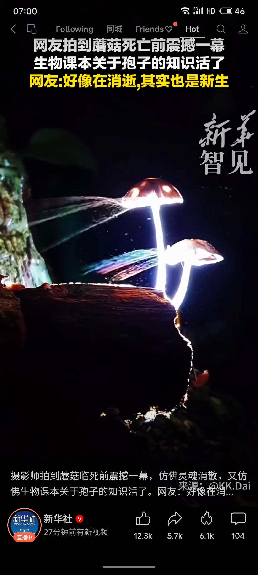 蘑菇在“死亡”瞬间喷发的孢子烟云，是生命最壮丽的传承仪式。它在消逝中完成新生，将