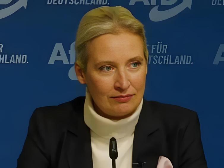 1月26日，德国选择党领袖爱丽丝・魏德尔称，“我可以明确告诉大家，待我们执