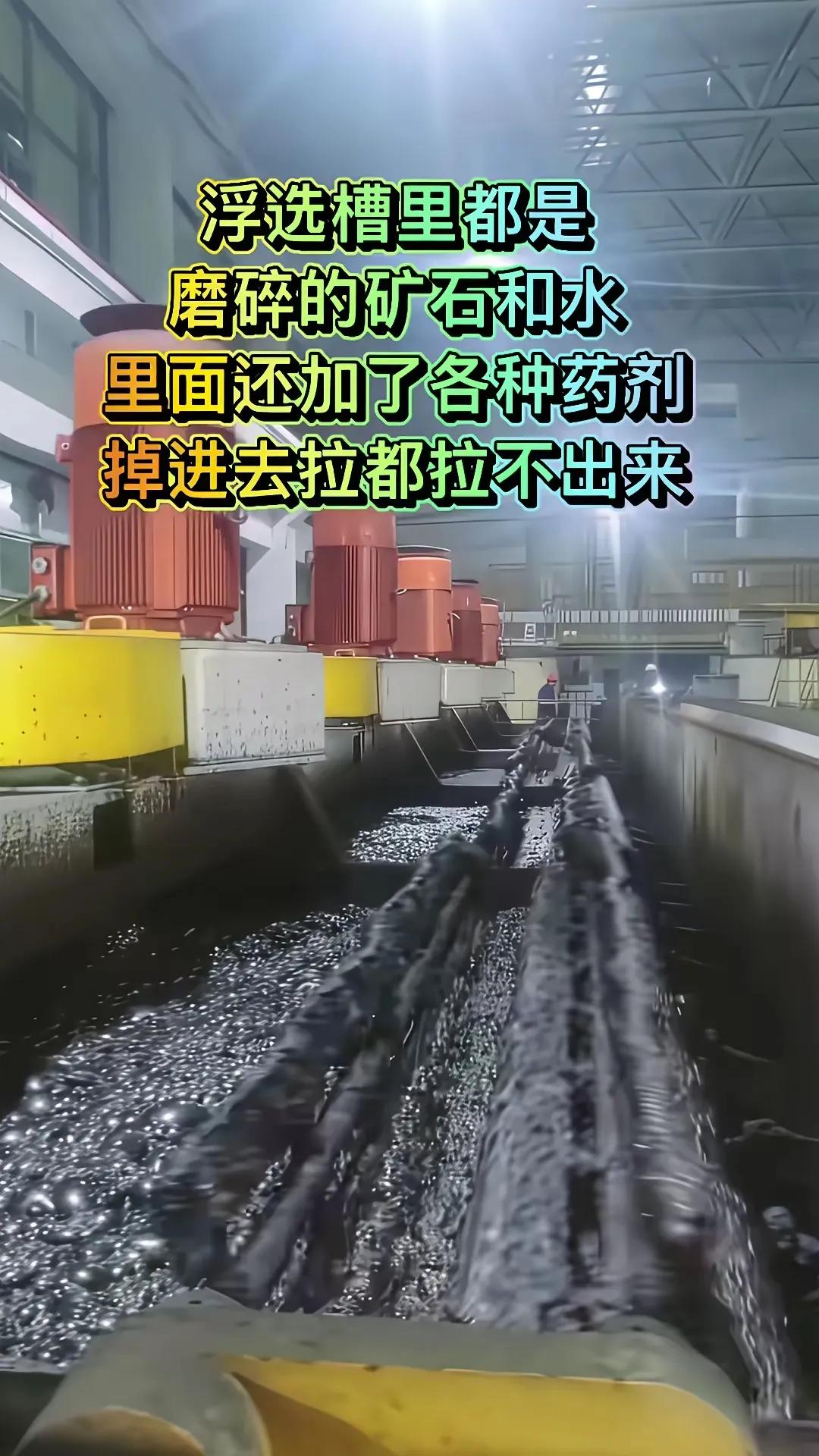 6名大学生在工厂“溺亡”。东北大学的学生，在央企黄金公司选矿厂参观时集体死亡。
