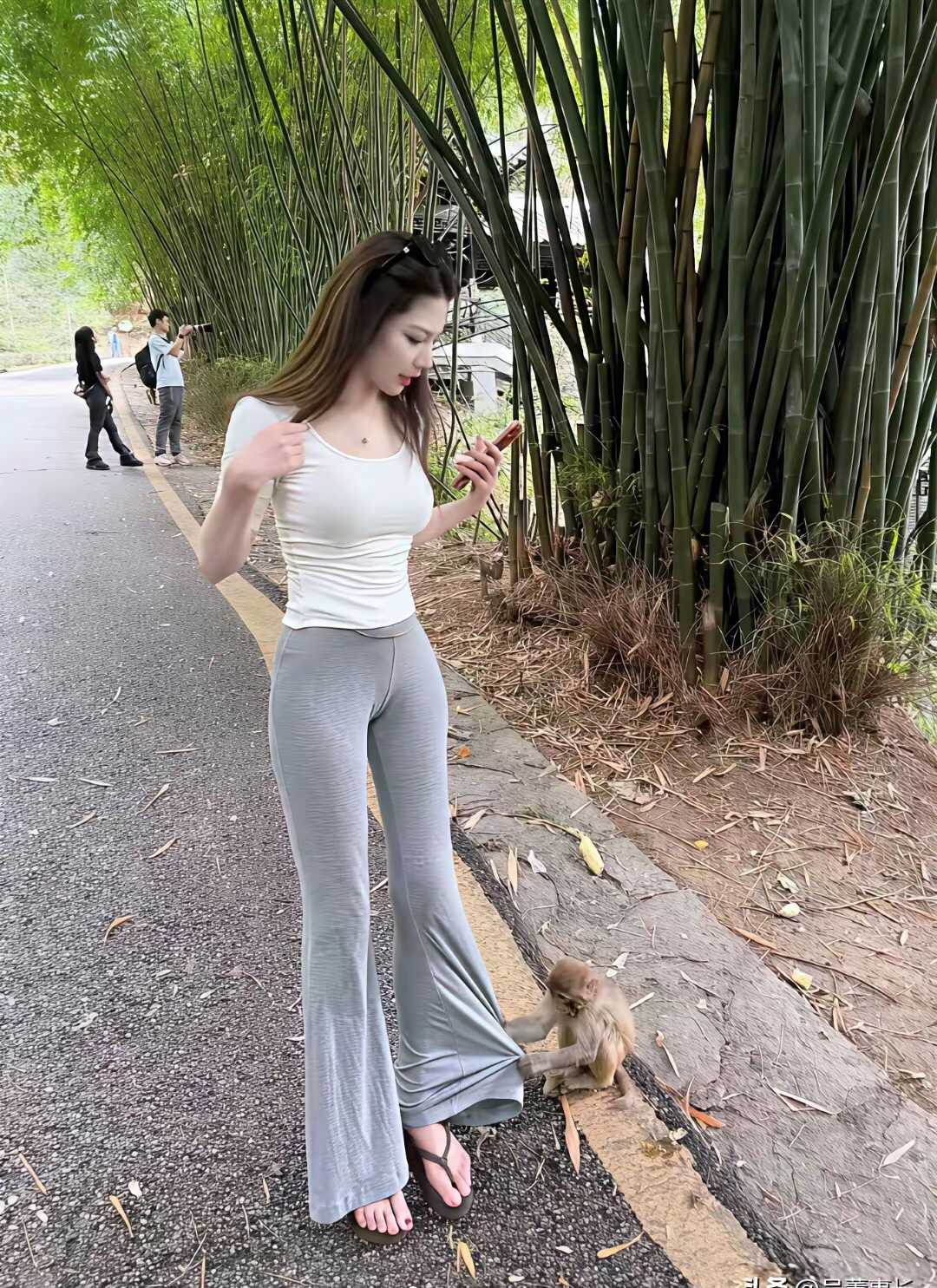 这样的妖精你是把握不住的，你当自己是孙大圣