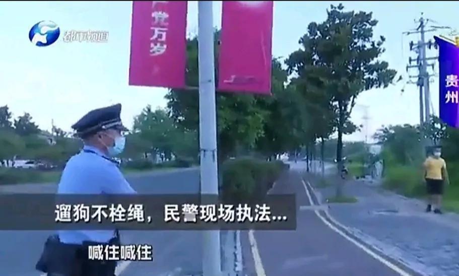 贵州一个地方执法人员上街整治违规养狗。河南电视台都市频道播放的视频，在贵州一个