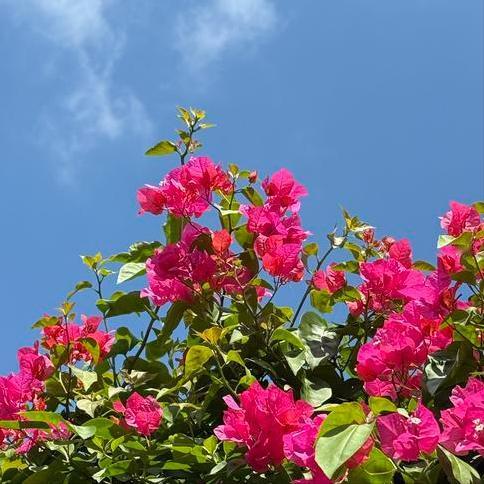 11月20日，宁波迎来新的主要负责同志。 该市拥有全球第一大港，是副省级城市