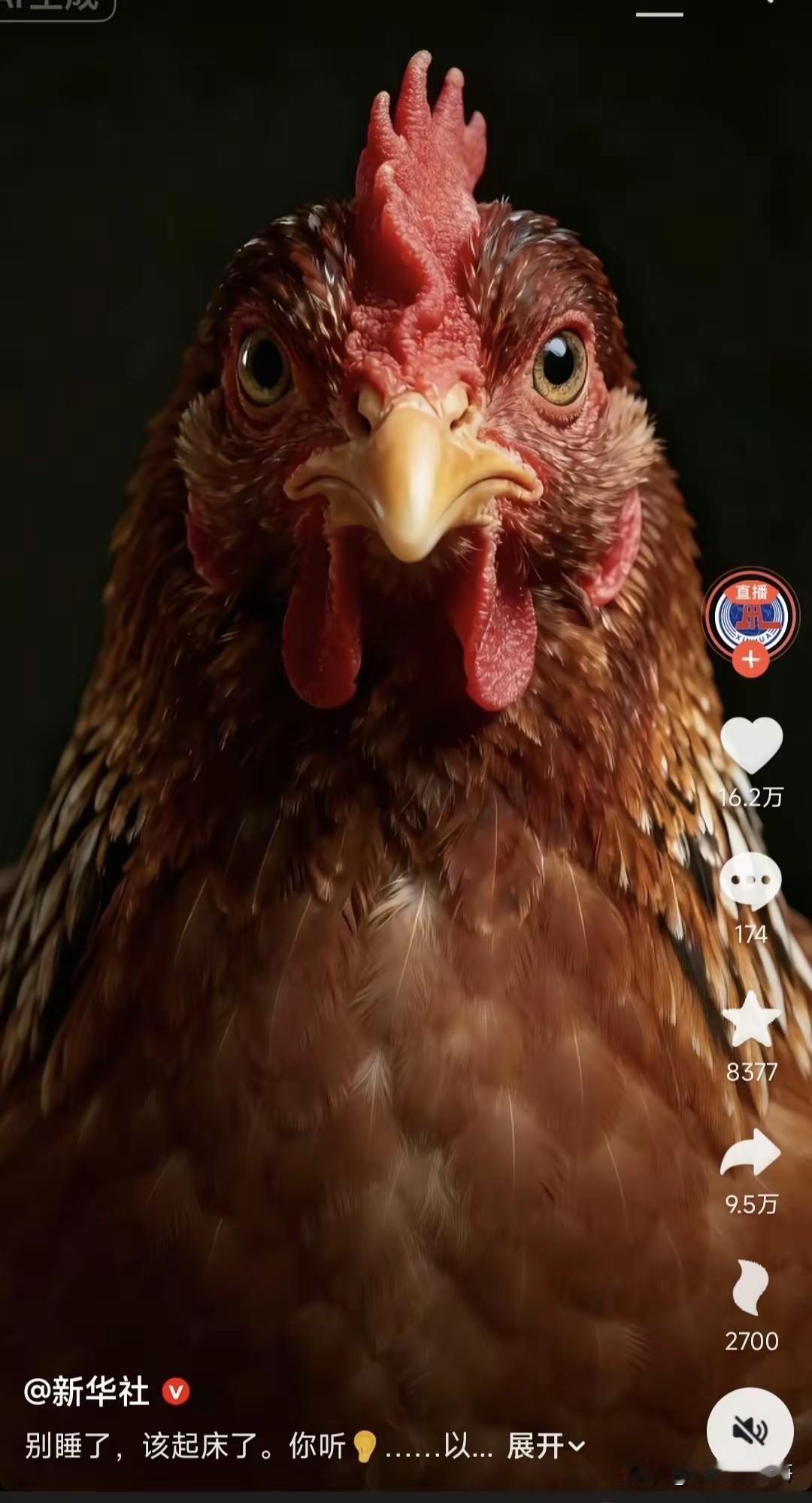新华社为什么莫名其妙的发了这样一张图片？雄鸡一唱天下白吗？难道说要预示着准备吃
