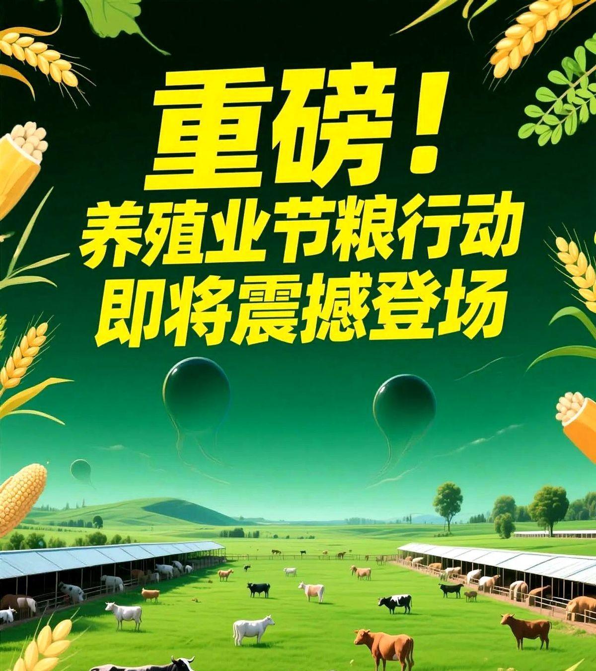 重磅！养殖业节粮行动，即将震撼登场这事儿一落地，最直接的乐子可能就是饲料厂要忙