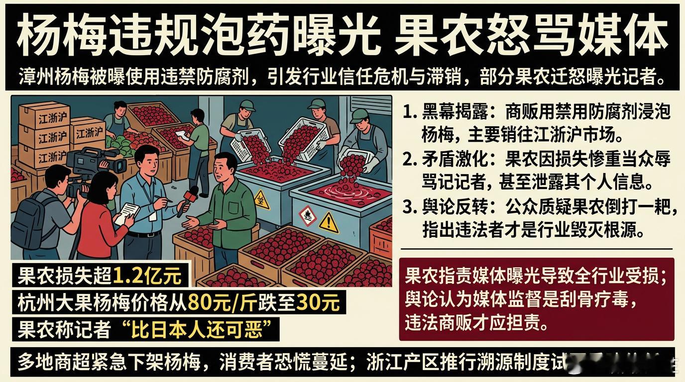 果农咒骂曝光媒体这种用药水泡出来的杨梅，那是人吃的东西吗？要是没人站出来曝光，