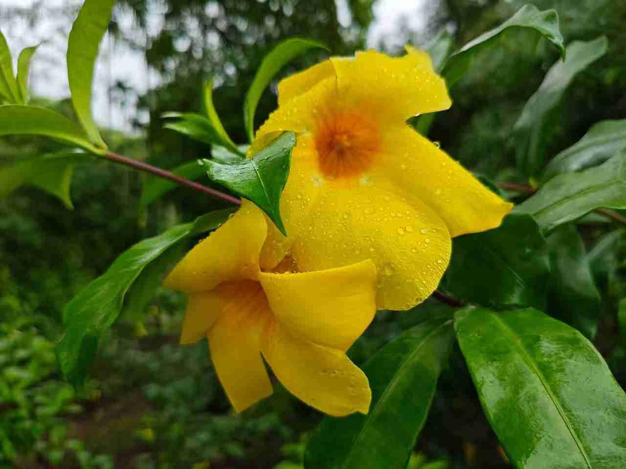 正吃午饭，就听见信息提示音，吃完饭拿起手机一看，是职业年金到账。我这人财迷，不管