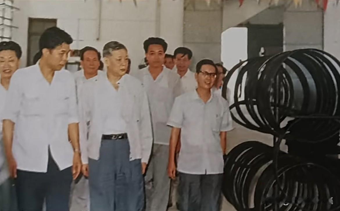 1987年5月，时任广东省省长叶选平（中）同志在茂名市委书记肖启贵（右左一），市