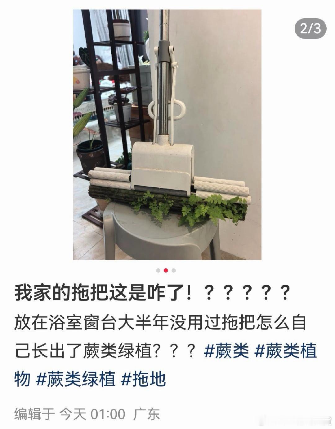 这种情况我见过，一般是世界末日后会出现