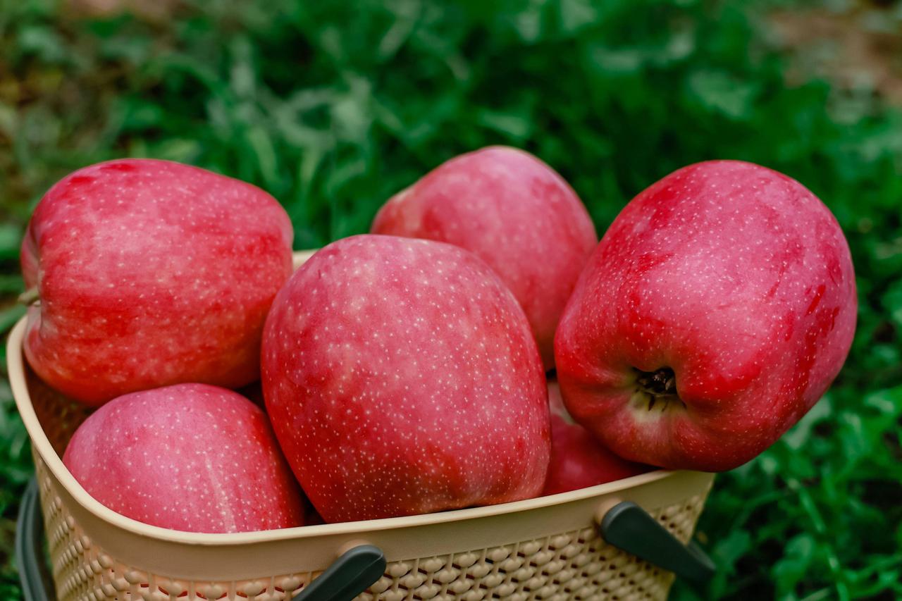 苹果是高血糖的催化剂？医生再次忠告：不想血糖飙升，4物别多吃近年来，随着健康