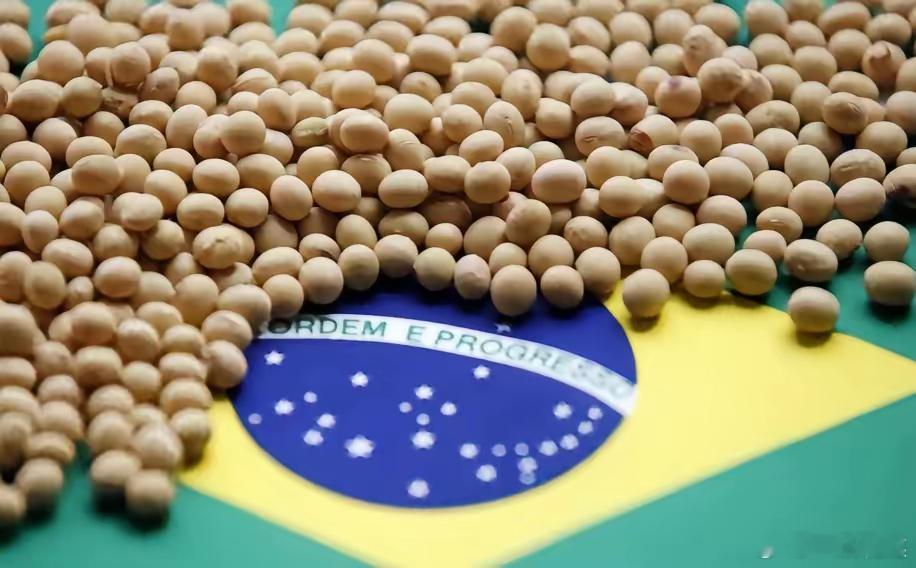 万一阿根廷，美国，巴西三国大豆全部涨价，中国怎么办？​如果阿根廷、美国、巴西三大