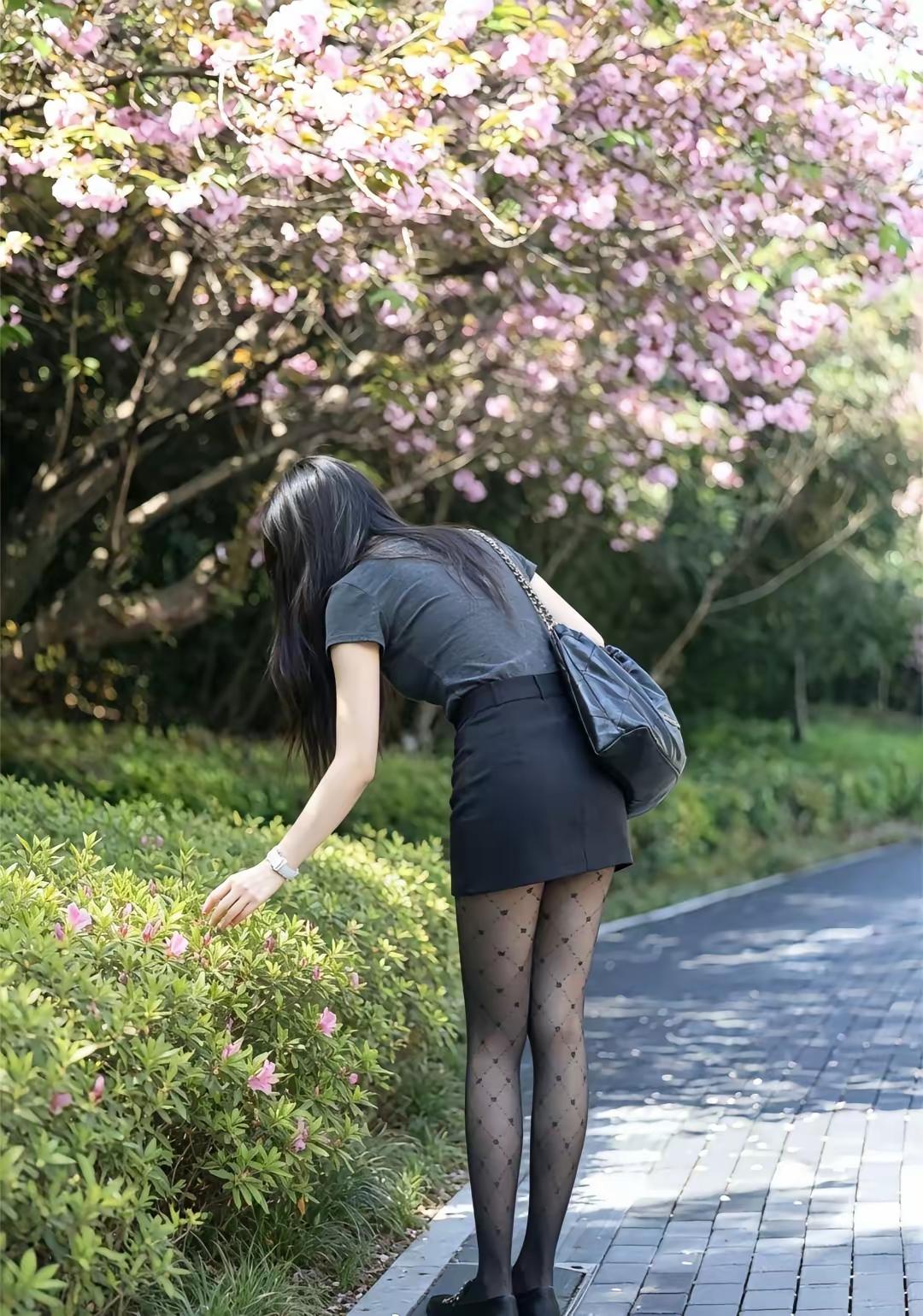 又到了赏花的季节