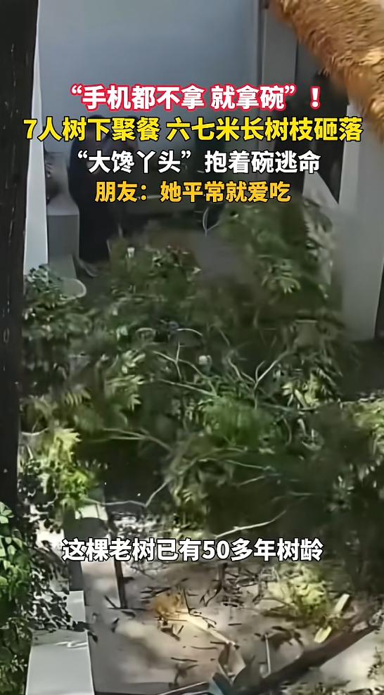 5月11日报道，陕西咸阳一则“树下聚餐遇树枝砸落，女子抱碗逃命”的视频火了，视频
