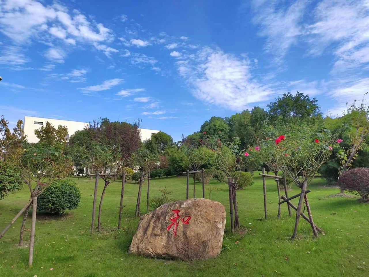 上海开始摇人了？《上海市居住证申办实施细则》沪府规【2025】9号发布，关于办理