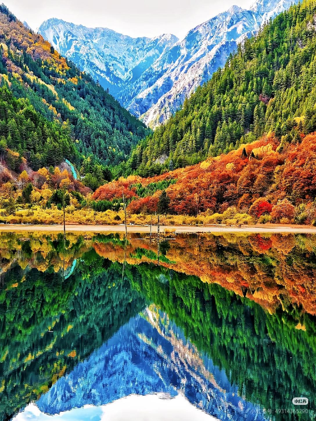 九寨沟，惊艳世界的色彩仙境✨🌈漫步天堂，领略大自然的绝美画卷：登上九寨沟的山