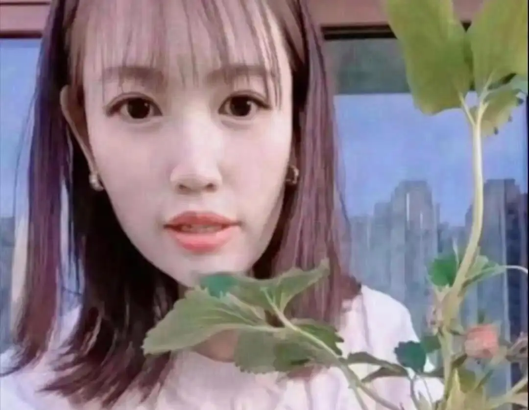 马蓉终于自食其果了吗？