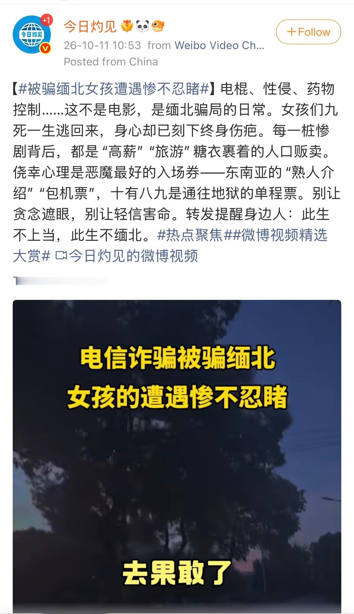 正能量最爱今天荡平这个，明天吓尿那个，现在让我们一起呼吁：荡平缅北！解救我们的妇