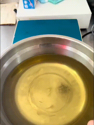 看完感觉白减肥了！