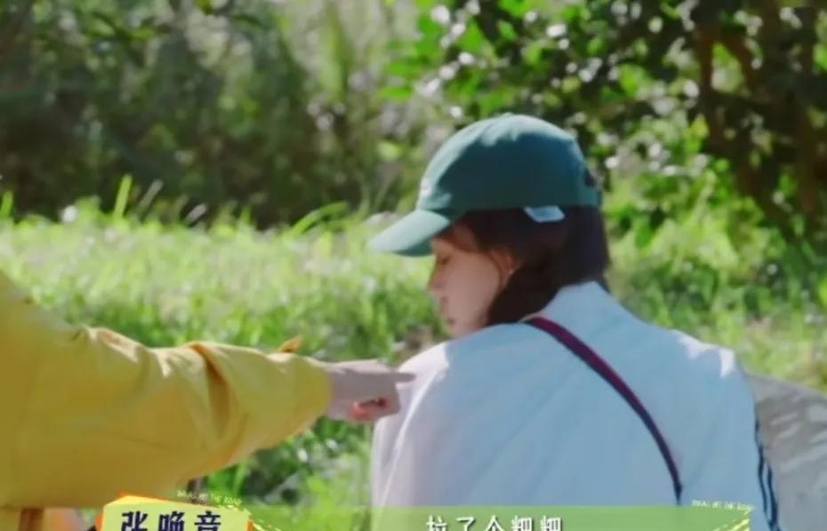 马思纯的衣服上有鸟粑粑，张晚意看到后拿出湿纸巾帮她擦掉了，张晚意：“拉了个粑粑，