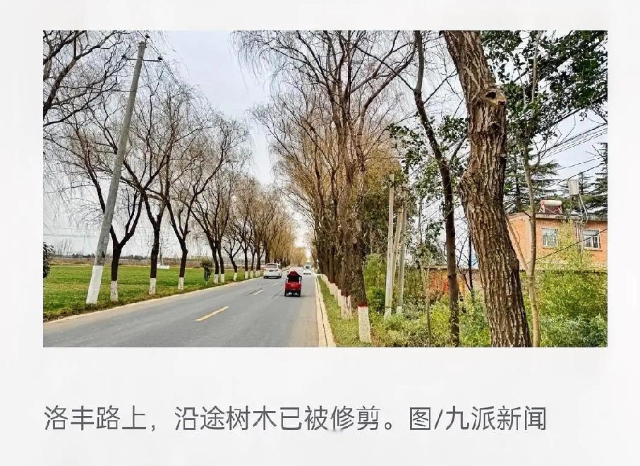 【人命关天，赔偿为何落空？镇政府申诉拖延引争议】陕西兴平女教师白琳骑车上班途