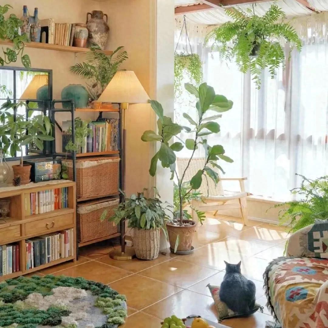 我邻居李阿姨，特别喜欢养花。家里阳台、客厅、卧室，摆得满满当当。去年她不知道从哪