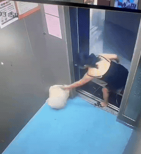 真是缺德到家了！某小区监控视频爆料，一女子将自家的生活垃圾堆在公共电梯内。更