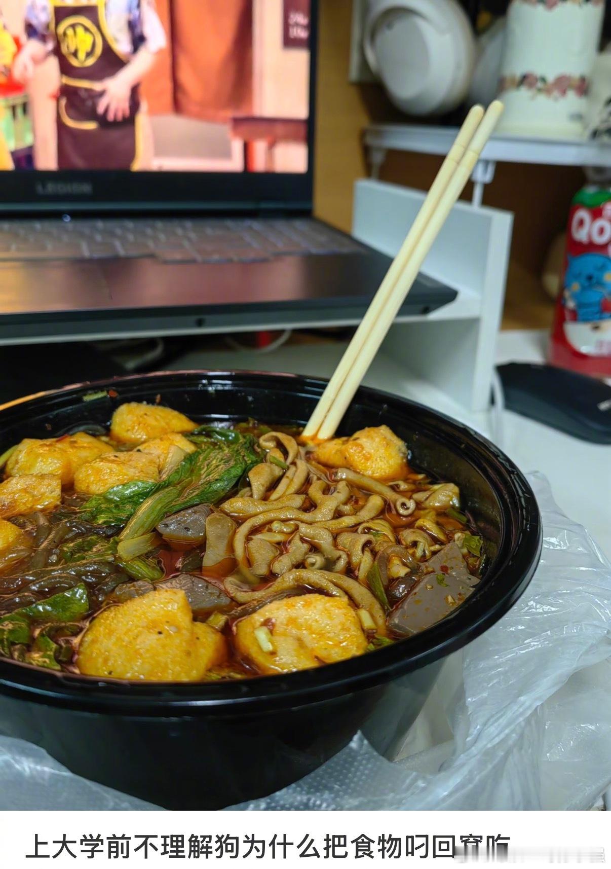 上大学前不理解狗为什么要把食物叼回窝里吃