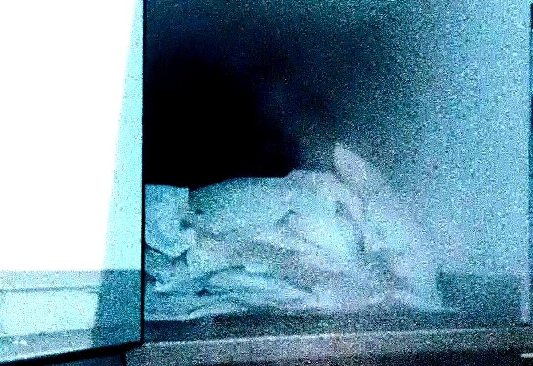 冤啊！1212个乌士兵白死了！---