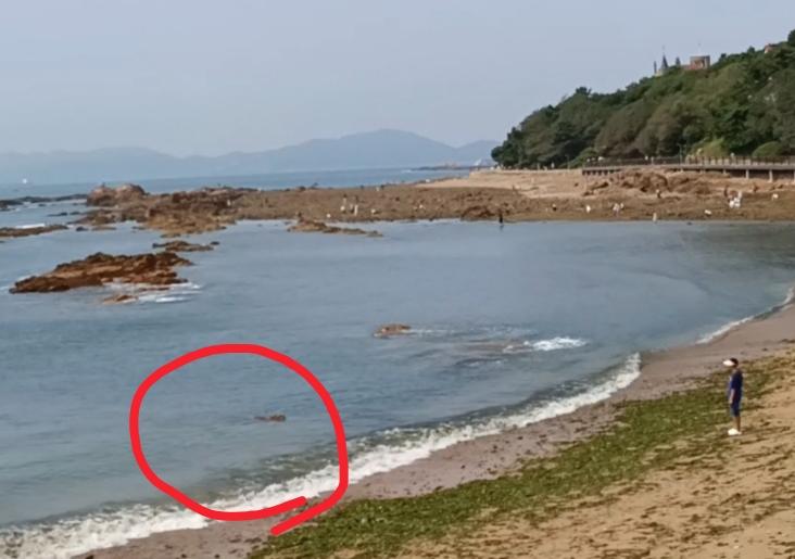 今天青岛海边的游人终于不再熙熙攘攘了。在地铁3号线太平角站下车，径直