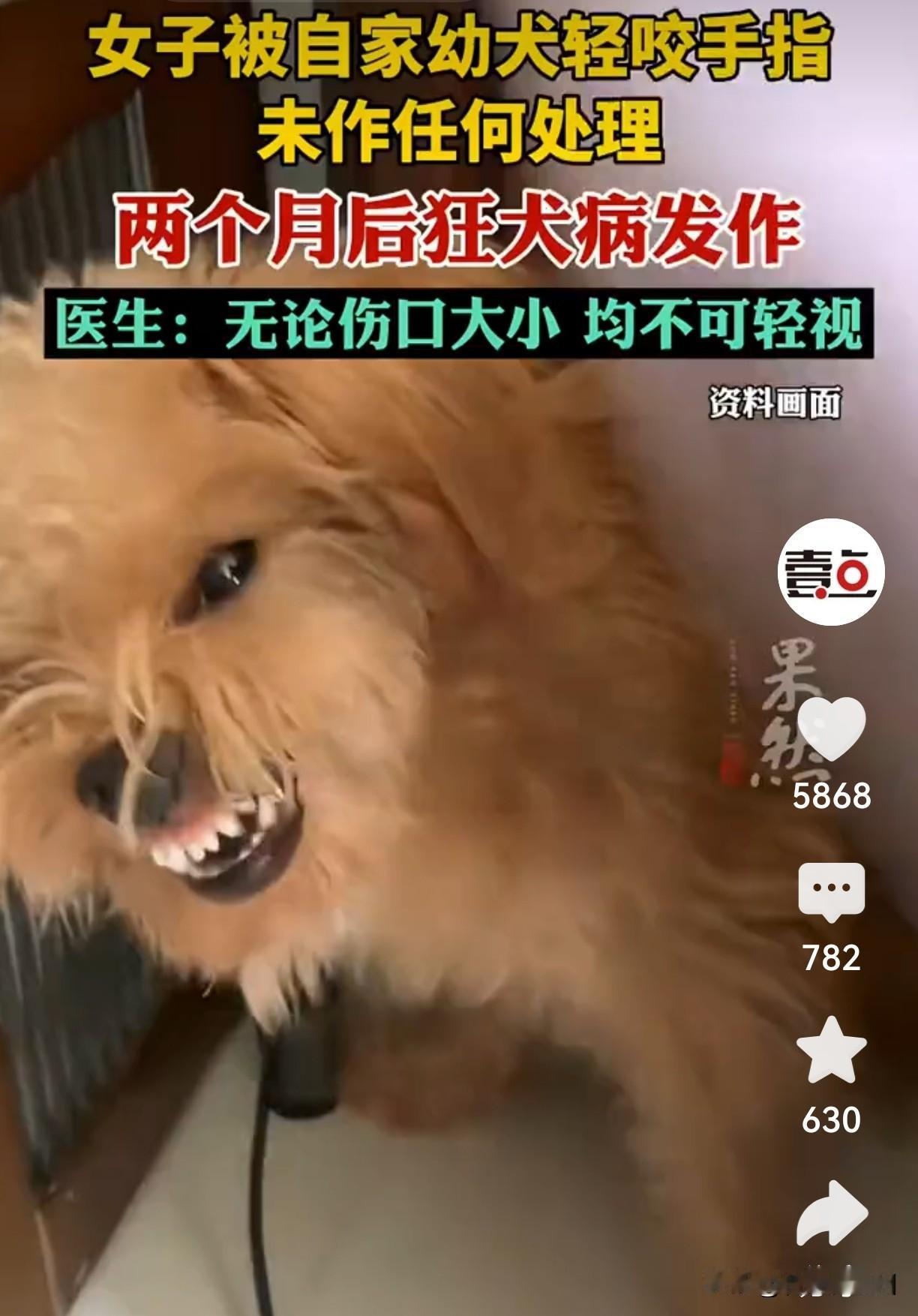 幼犬轻舔手指，俩月后身亡！2025狂犬病暴增57%，这些错千万别犯前两天看到