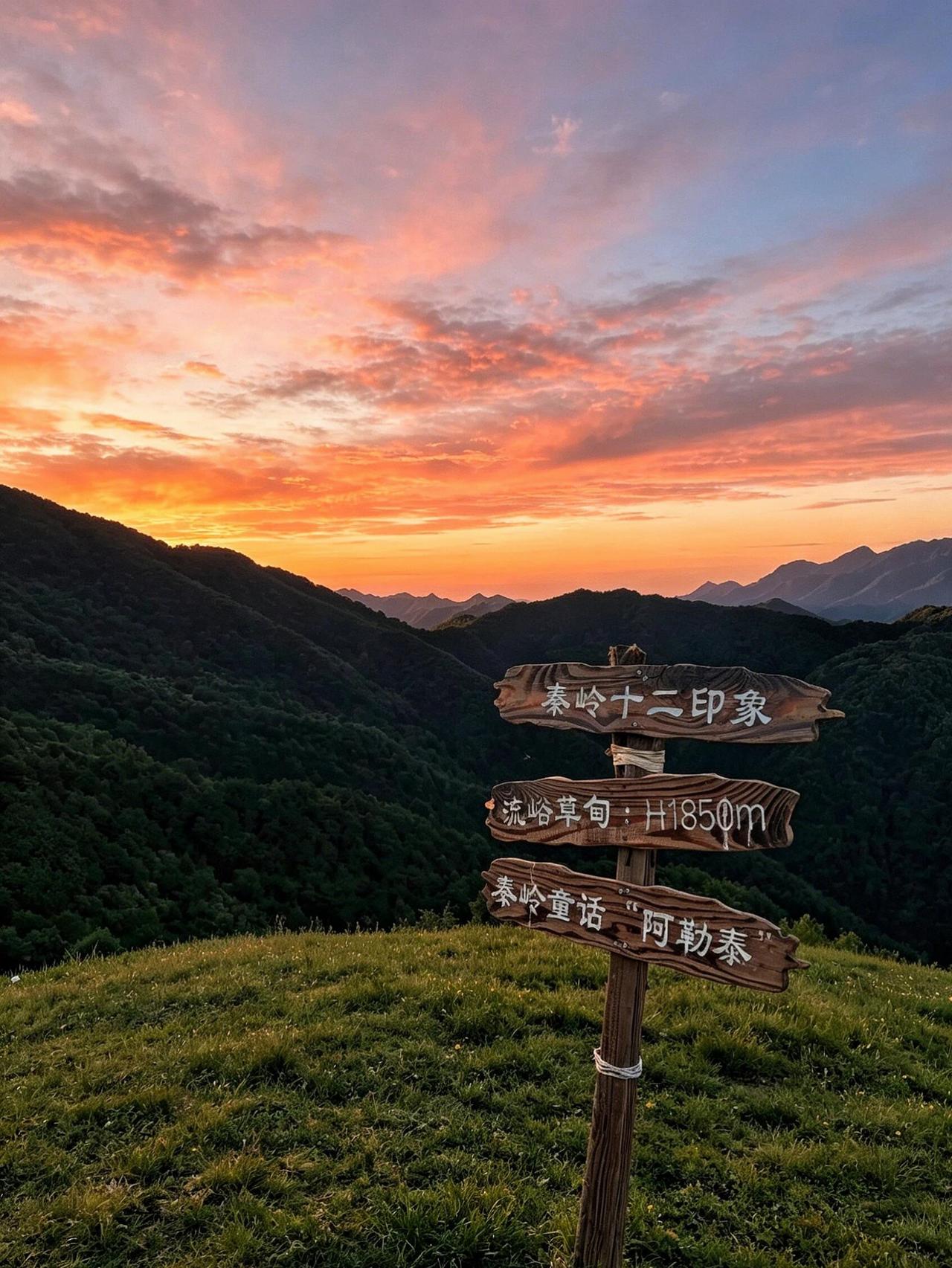谁懂啊！西安打工人的周末快乐，被流峪草甸狠狠拿捏了🌿不用自己做攻略，一起直达高