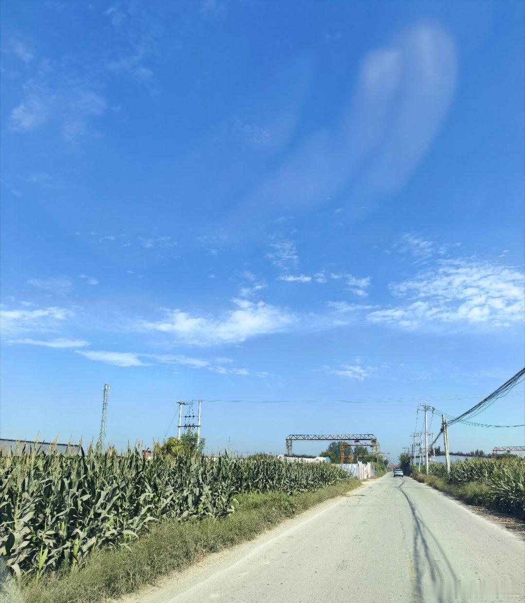 保定徐水区有黑汽油罐加油点河北保定市徐水区东史端镇梁庄村村西，院里地下是10吨