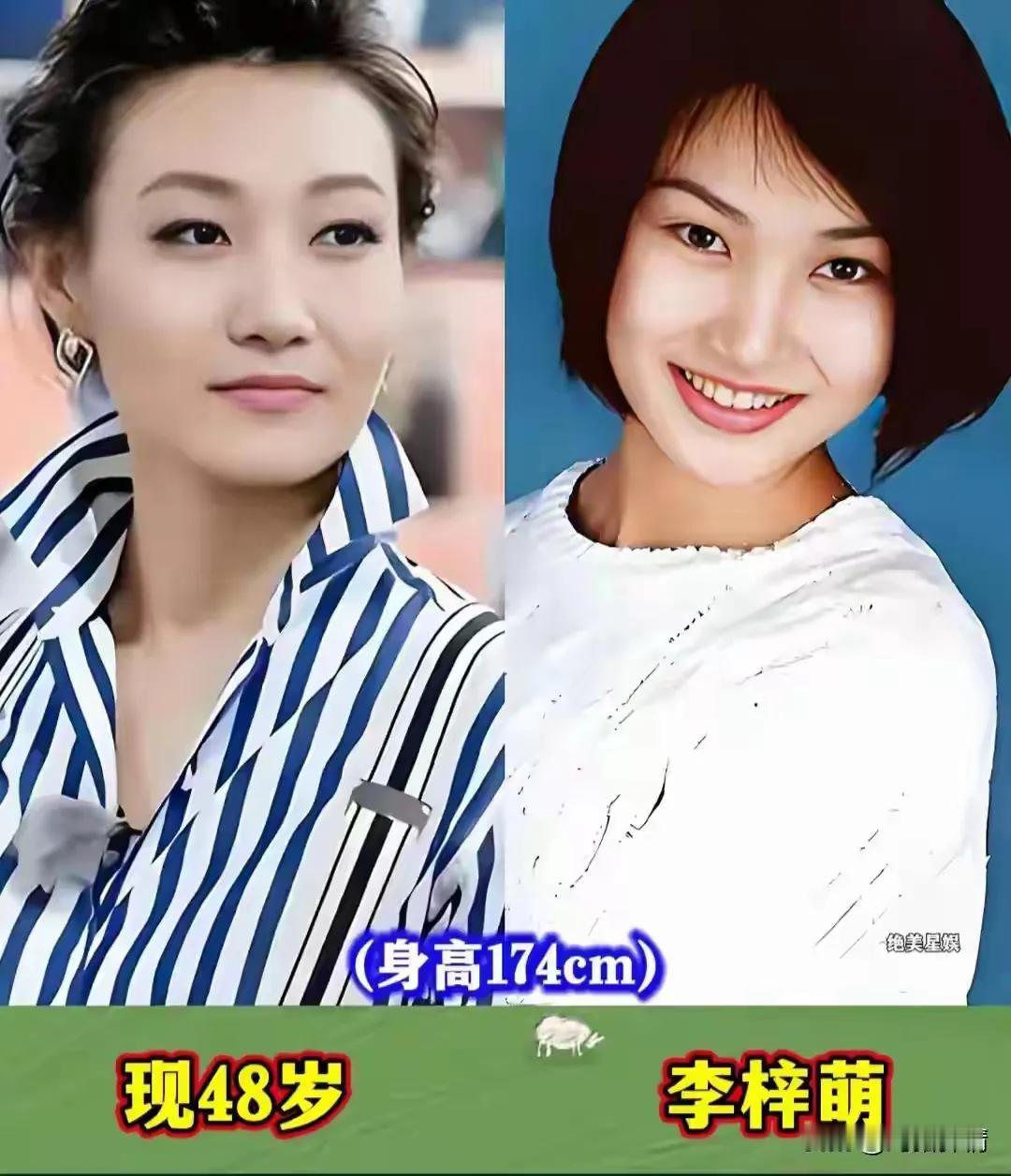 央视最美主持人今昔颜值对比