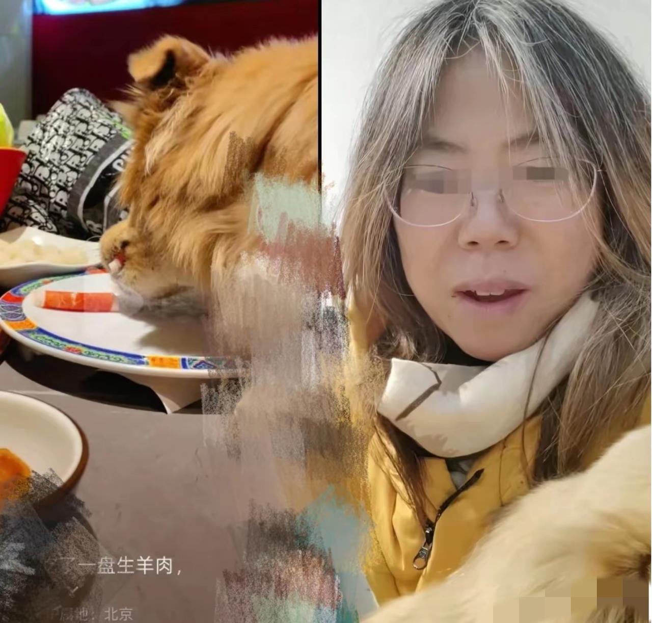 这下出名了纵容狗上桌舔盘子，还发视频炫耀，夸自己家的狗，“太棒了”爱狗不