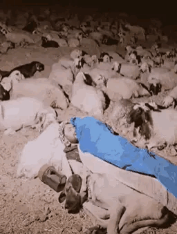 大晚上的，这是和所有的财产睡在一起；