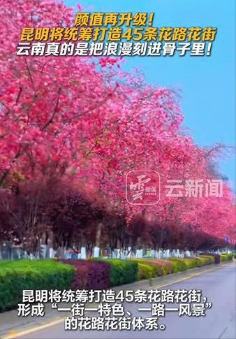 昆明将统筹打造45条花路花街？听说昆明即将统筹打造45条花路花街，形成“一街一