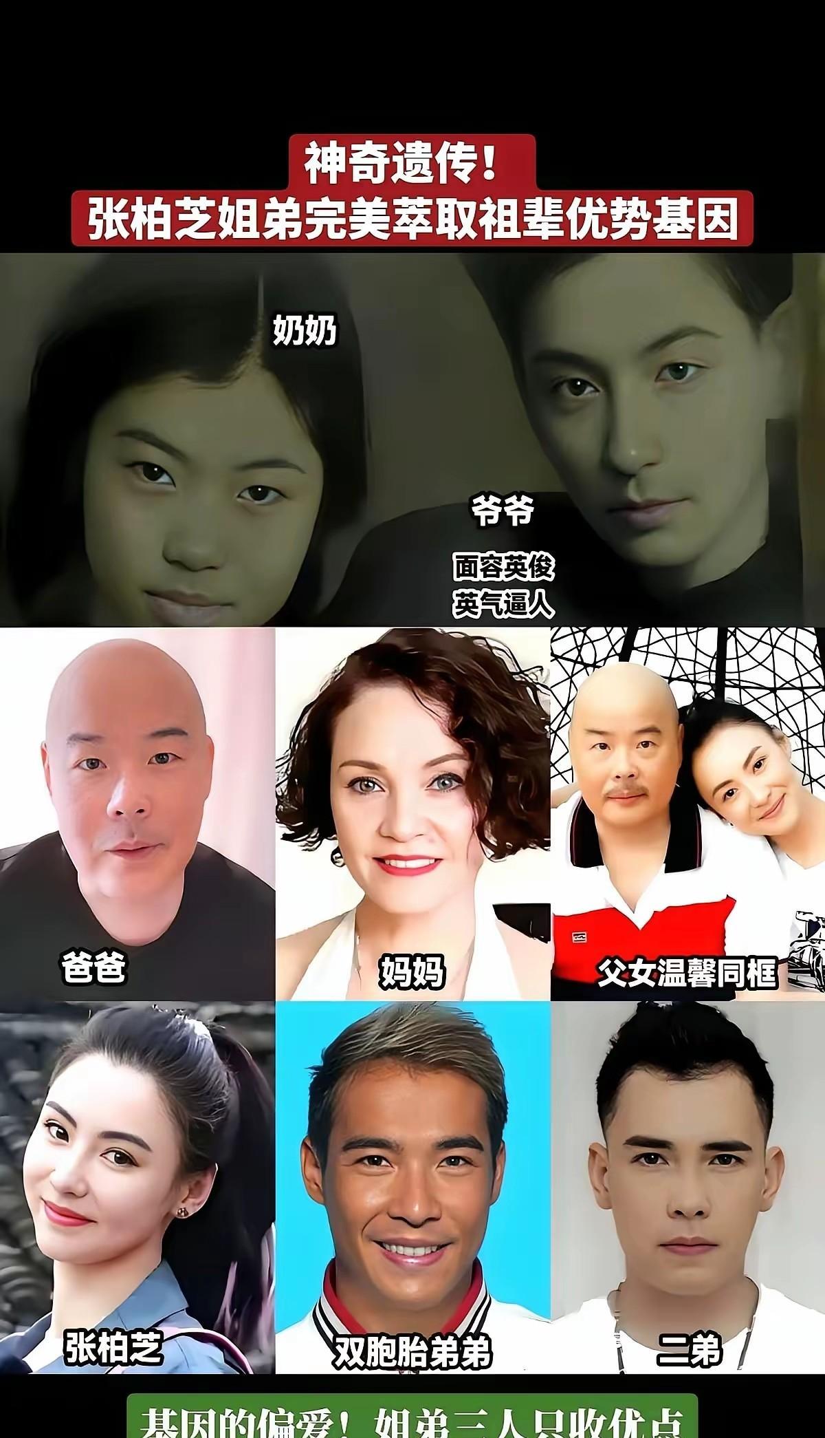 张柏芝的美真的是来自家族，爷爷好帅气，但是爸爸差点意思，结果好基因隔代遗传，张柏