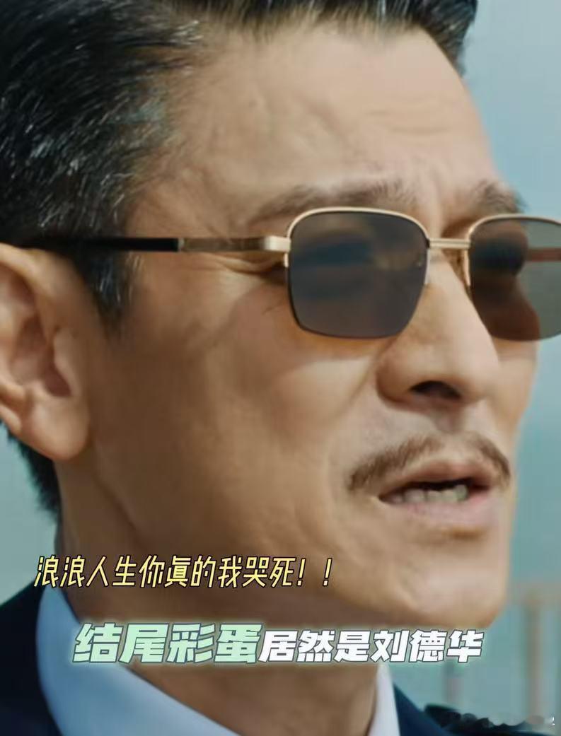 电影浪浪人生彩蛋是刘德华看完《浪浪人生》，刘德华的彩蛋绝对是最震撼的部分！那种
