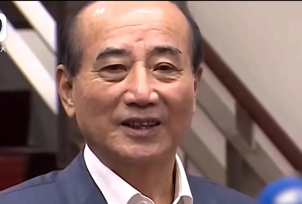 不查不知道，一查才明白王金平、宋楚瑜相继发声之际，蓝营在局势及选举下动作频频。