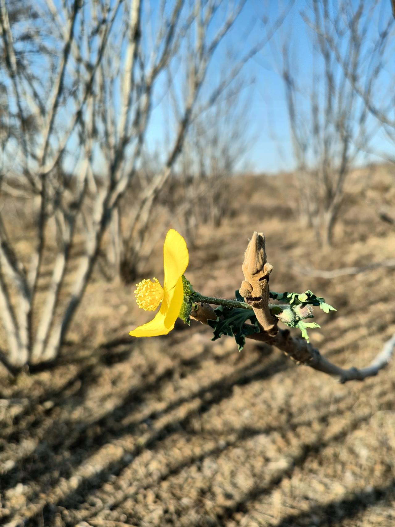 过年同学聚会，我看清一个扎心真相：年过40的女同学，人生几乎没有中间态。