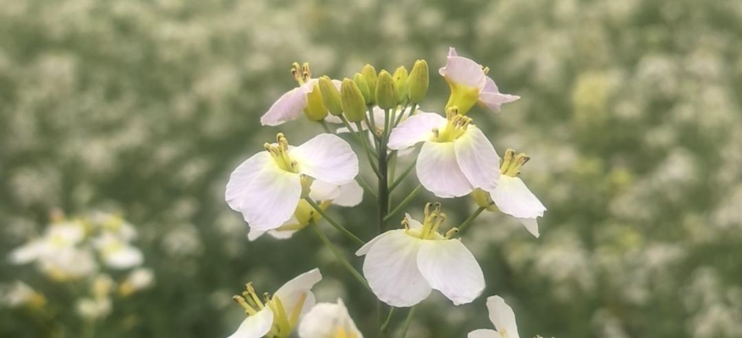 不要和任何人分享这5样东西因为人性1、不要分享你家里有多少钱，说多了别人