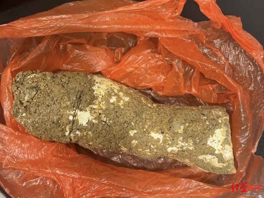 广东河源一家四口误食野蘑菇中毒: 母女俩病危, 7岁孙女和5岁孙子转院至广州治疗