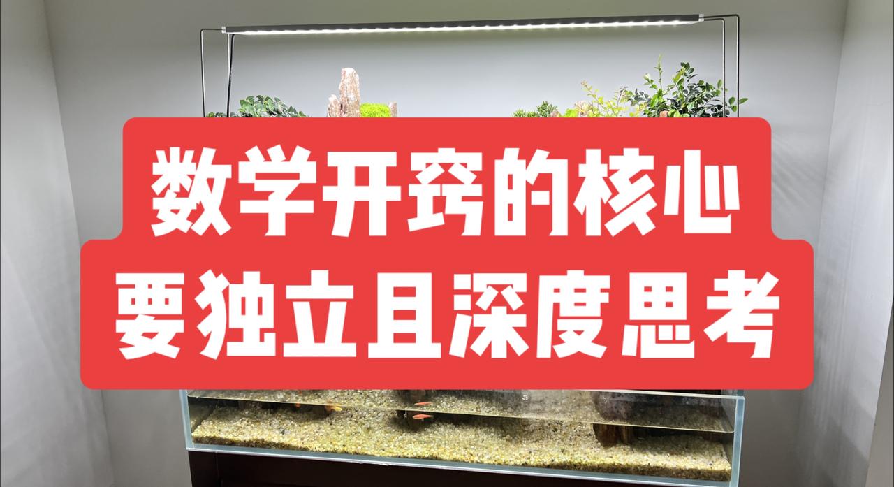 之所以他数学学不好，说白了就是因为他不动脑子，他假装在听或者他所谓的听懂了，根本