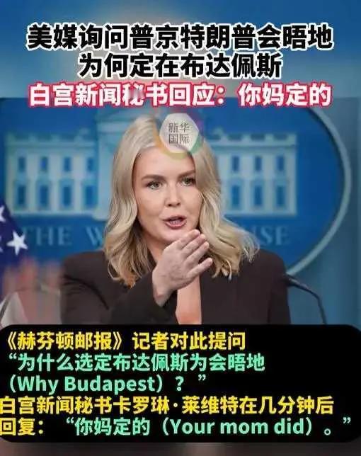 成功给我逗笑了，用咱们大白话讲，是不是“来事”了？情绪这么暴躁！“你妈选的！