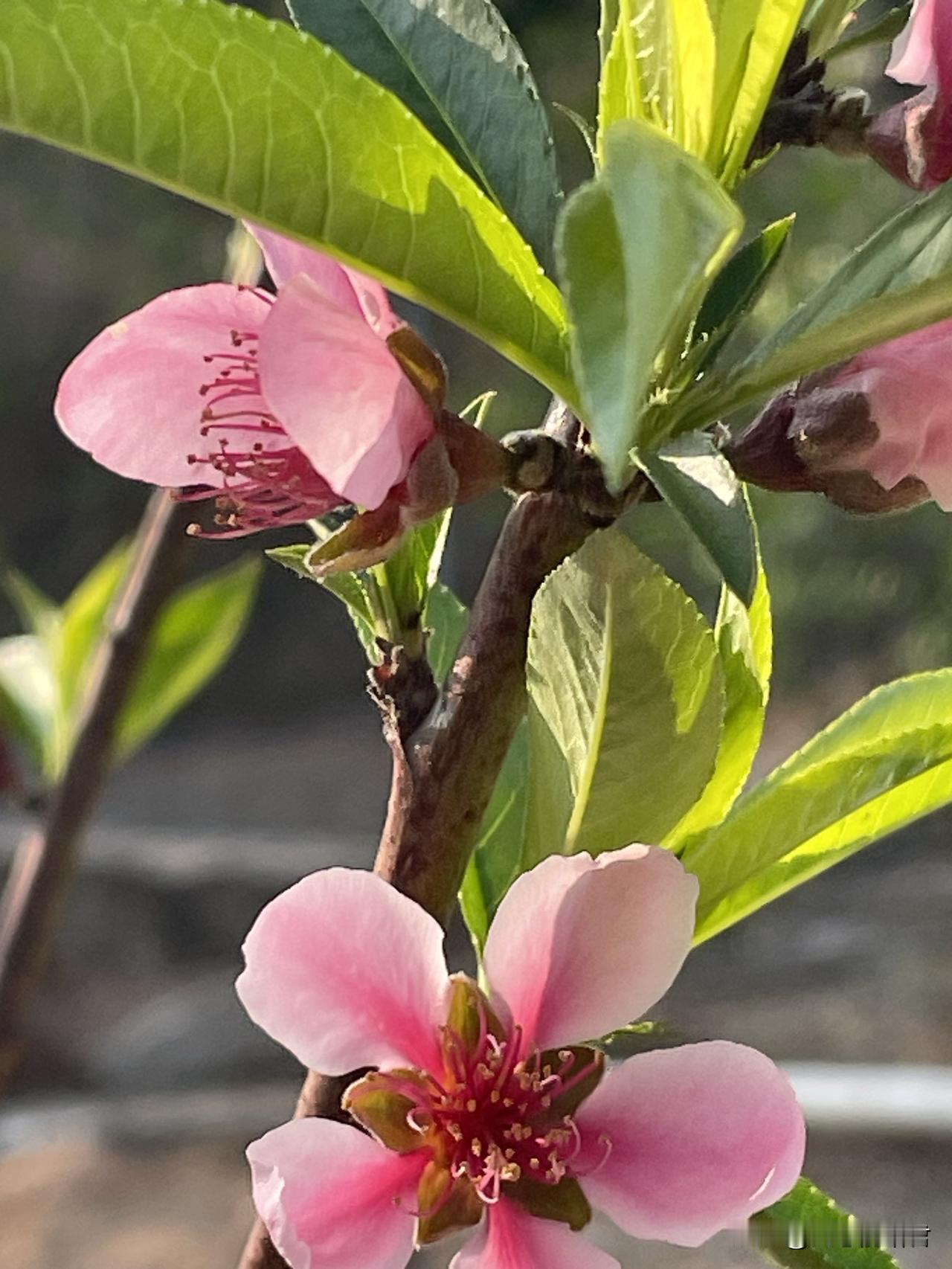 人到中年，二婚不能太激进。一大姐49岁，离异，带着一个18岁的上大学的儿子。现在